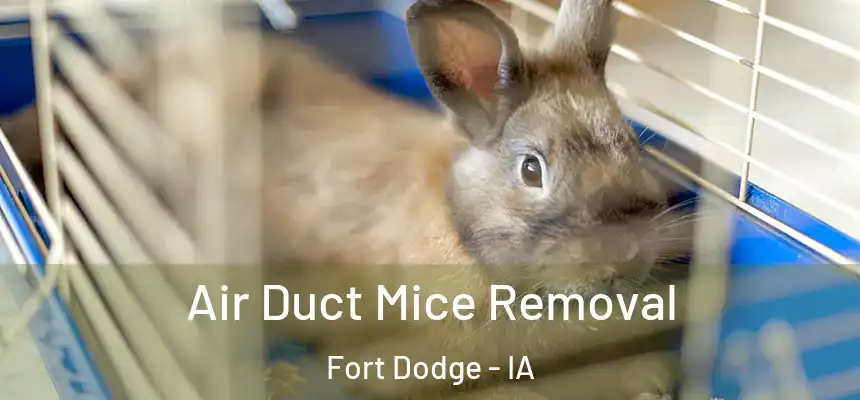  Air Duct Mice Removal Fort Dodge - IA