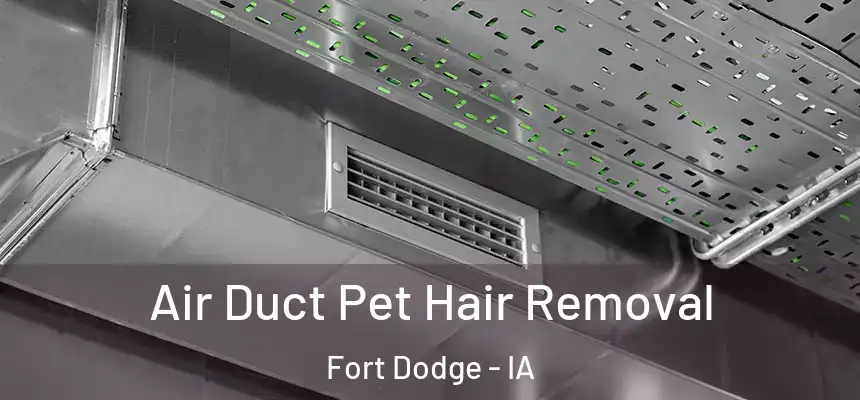  Air Duct Pet Hair Removal Fort Dodge - IA