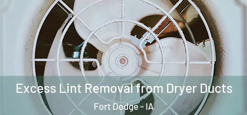  Excess Lint Removal from Dryer Ducts Fort Dodge - IA