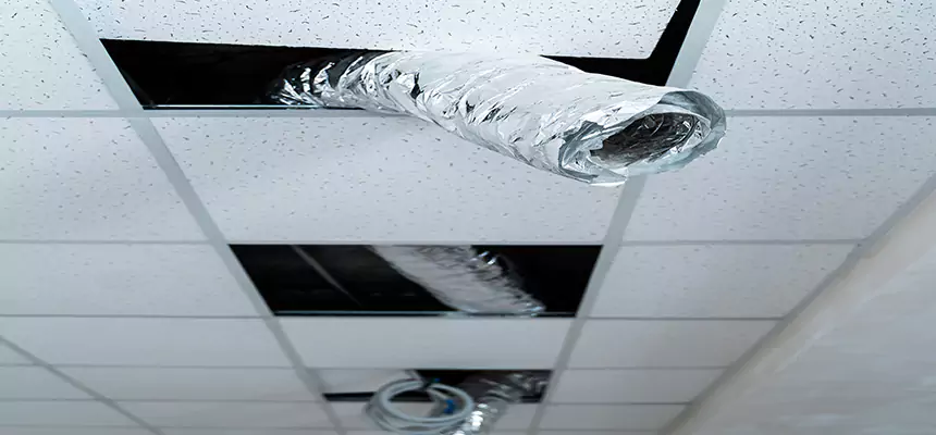 Our Air Duct Pet Hair Removal Services in Fort Dodge, IA