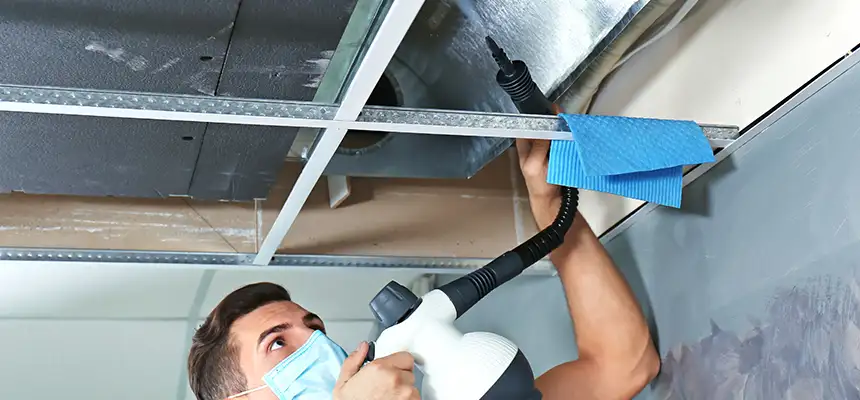 Our Air Duct Rodent Removal Services in Fort Dodge, IA
