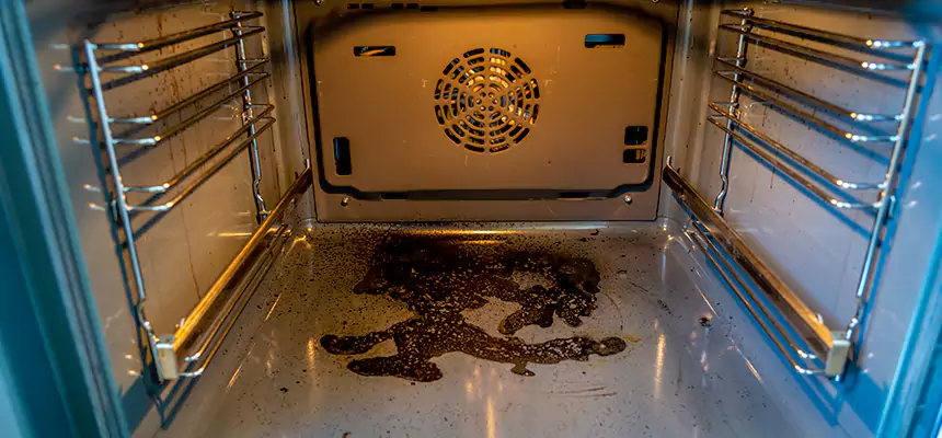 Our Dryer Vent Mold Cleaning Services in Fort Dodge, IA