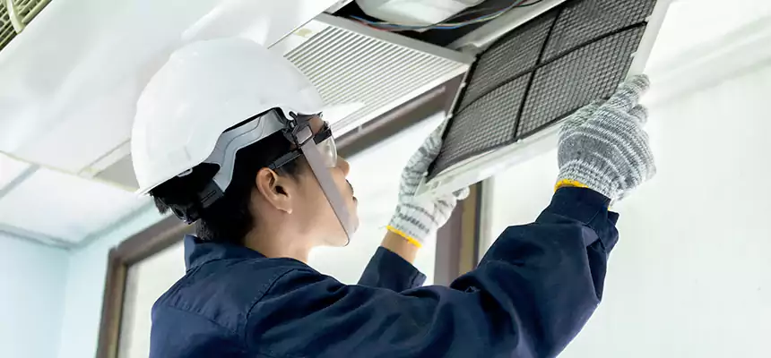 Our Mold & Mildew Removal from Air Ducts Services in Fort Dodge, IA