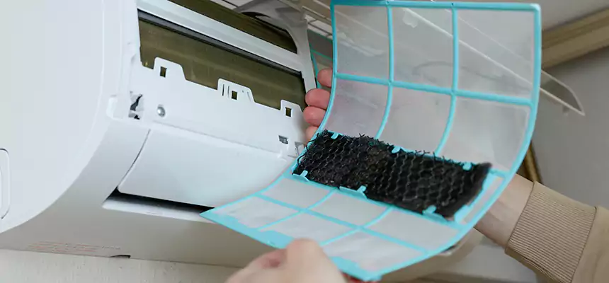 Gentle Ductwork Odor-Control Pet Dander Duct Cleaning in Fort Dodge, IA