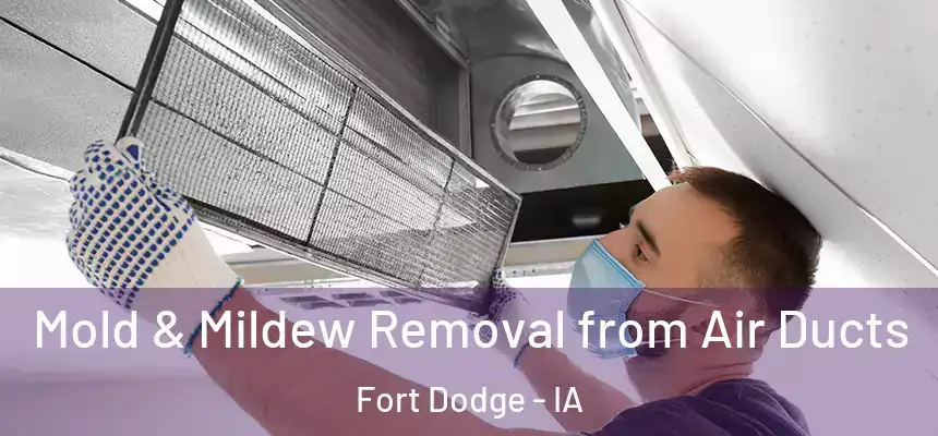 Mold & Mildew Removal from Air Ducts Fort Dodge - IA