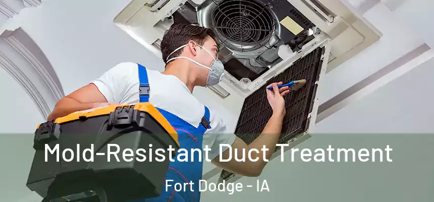  Mold-Resistant Duct Treatment Fort Dodge - IA