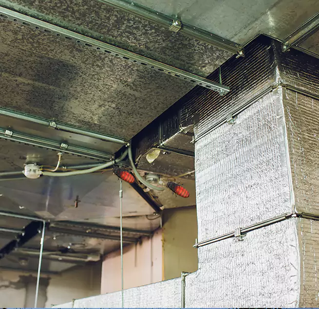 Why Homeowners & Businesses Trust Us in Fort Dodge, IA?