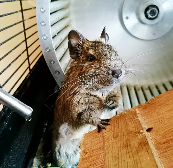 Why Homeowners & Businesses Trust Us Fort Dodge, IA